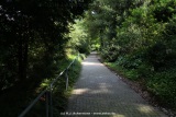 fotografie-8