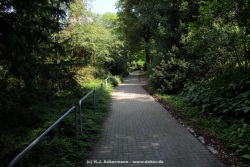 fotografie-9