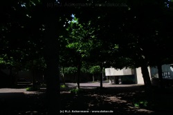 fotografie-197