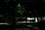 fotografie-10
