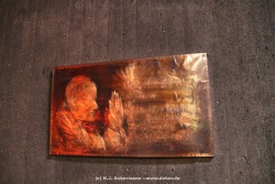 fotografie-9