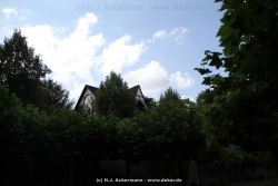 fotografie-165