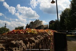 fotografie-44