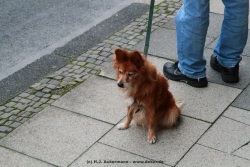 fotografie-144