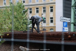 fotografie-2