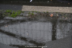 fotografie-129