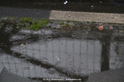 fotografie-130