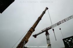 fotografie-29