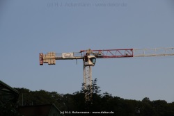 fotografie-198