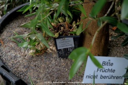 fotografie-9