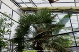fotografie-11