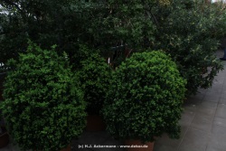 fotografie-12