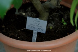 fotografie-25
