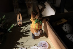 fotografie-37