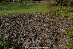 fotografie-54