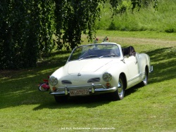 fotografie-9