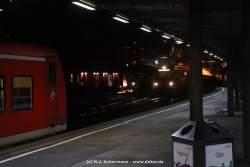 fotografie-8