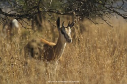 fotografie-46