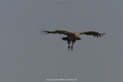 fotografie-14