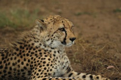 fotografie-63