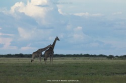 fotografie-179