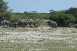fotografie-134