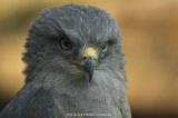 fotografie-7