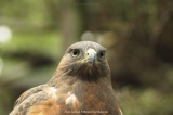 fotografie-83