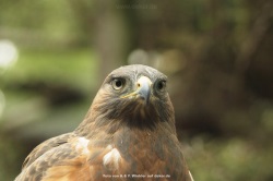 fotografie-83