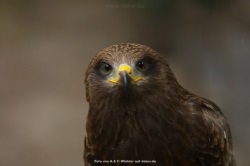 fotografie-124