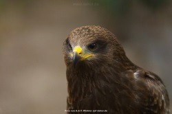 fotografie-125