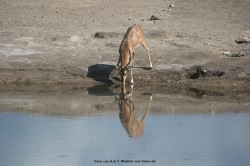 fotografie-14