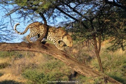 fotografie-162