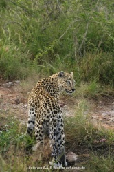 fotografie-135