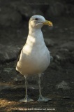 fotografie-1