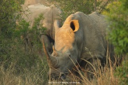 fotografie-30
