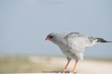 fotografie-9