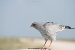 fotografie-9