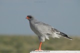 fotografie-10