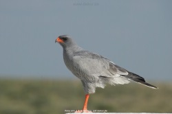 fotografie-12