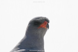 fotografie-16