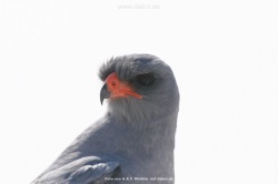 fotografie-22
