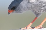fotografie-27
