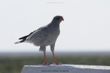 fotografie-37
