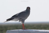 fotografie-39