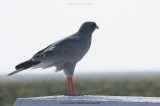 fotografie-40