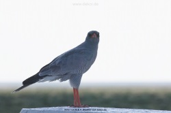 fotografie-41