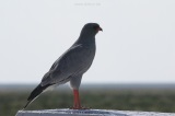 fotografie-43