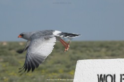 fotografie-47