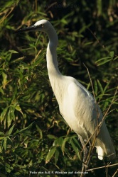 fotografie-17